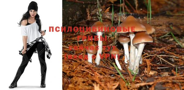 мяу мяу мука Алексеевка
