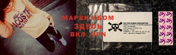 гашик Инта