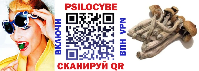 Галлюциногенные грибы Cubensis  купить   Злынка 